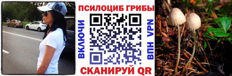kraken ONION  Усолье-Сибирское  Псилоцибиновые грибы мицелий 